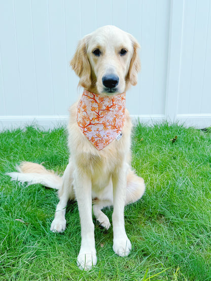 Fall Charm Bandana