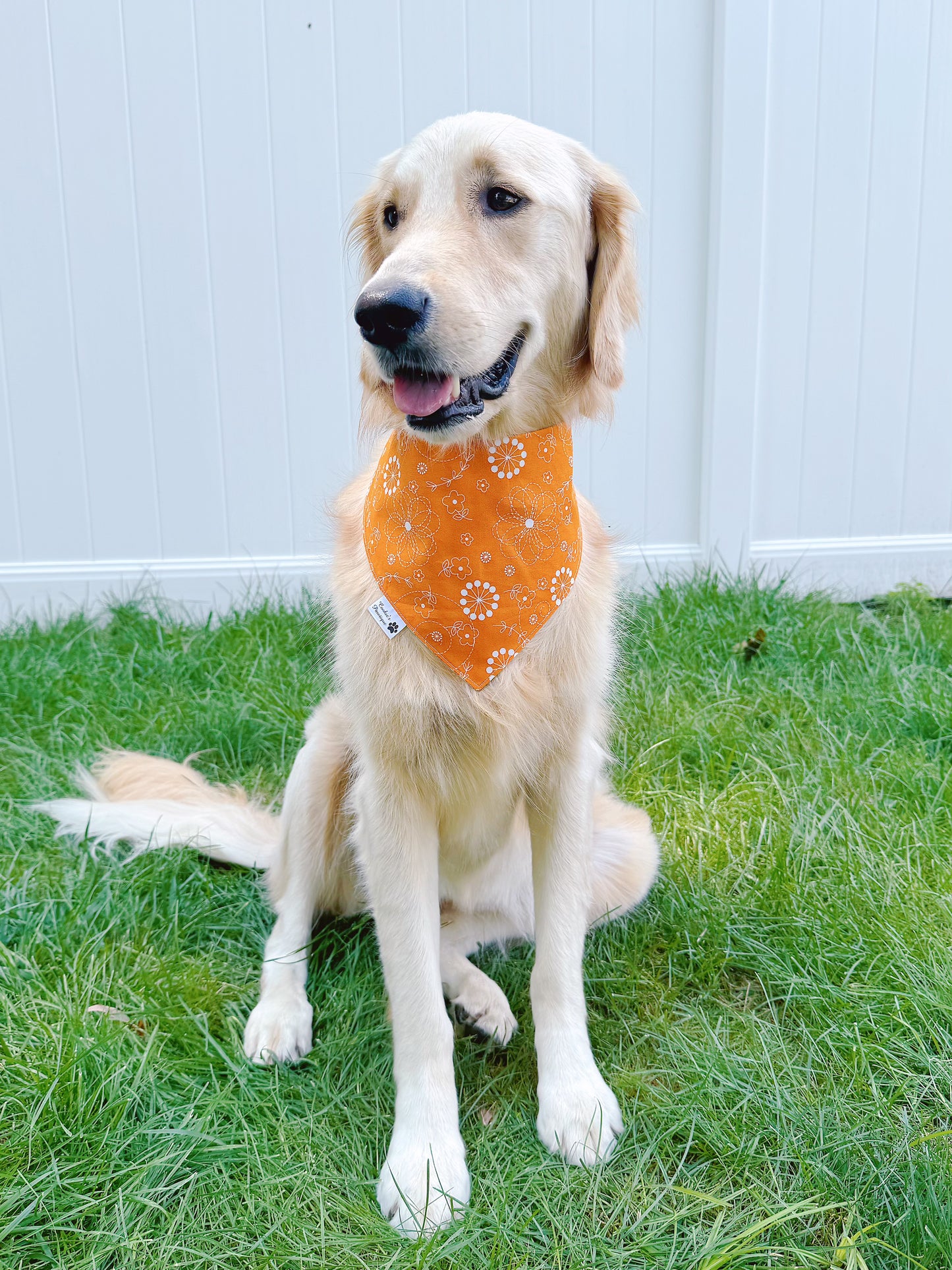 Fall Charm Bandana