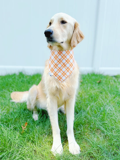 Harvest Wheat And Plaid Bandana