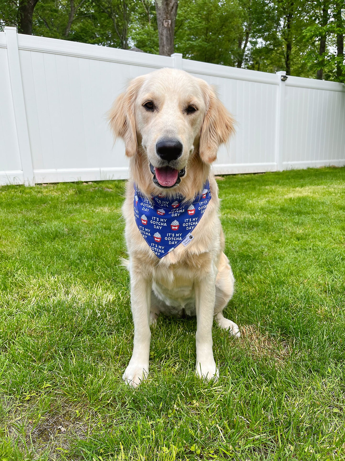 It's My Gotcha Day Bandana - Dark Blue