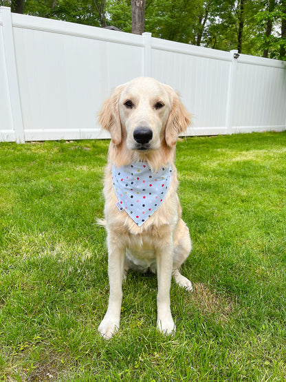 It's My Gotcha Day Bandana - Dark Blue