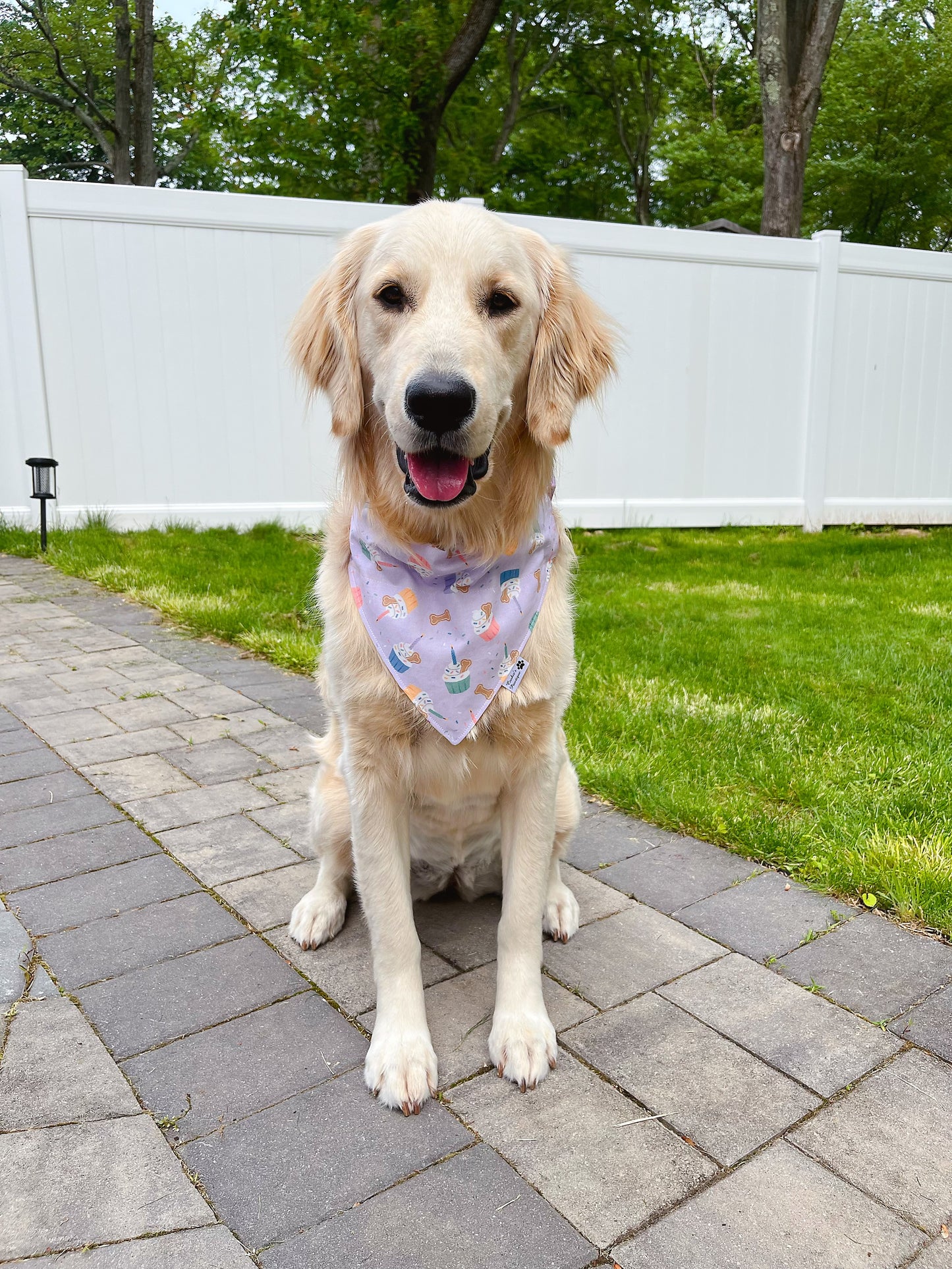 Birthday Cupcake Bandana - Lavender