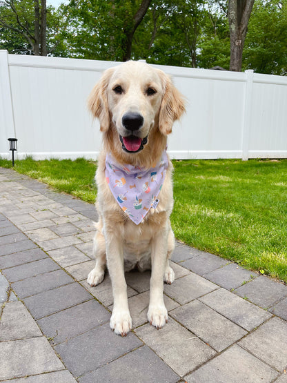 Birthday Cupcake Bandana - Lavender