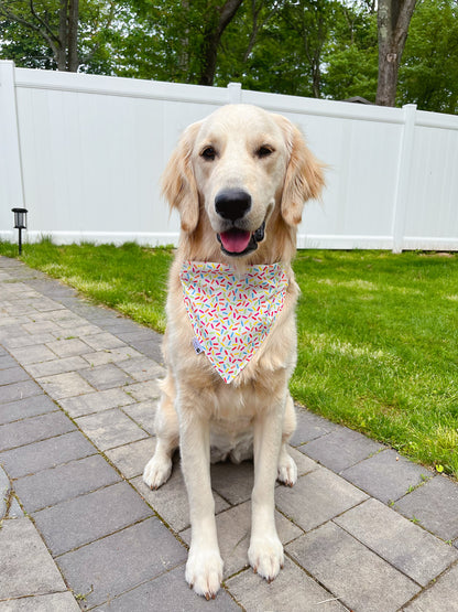 Birthday Cupcake Bandana - Teal