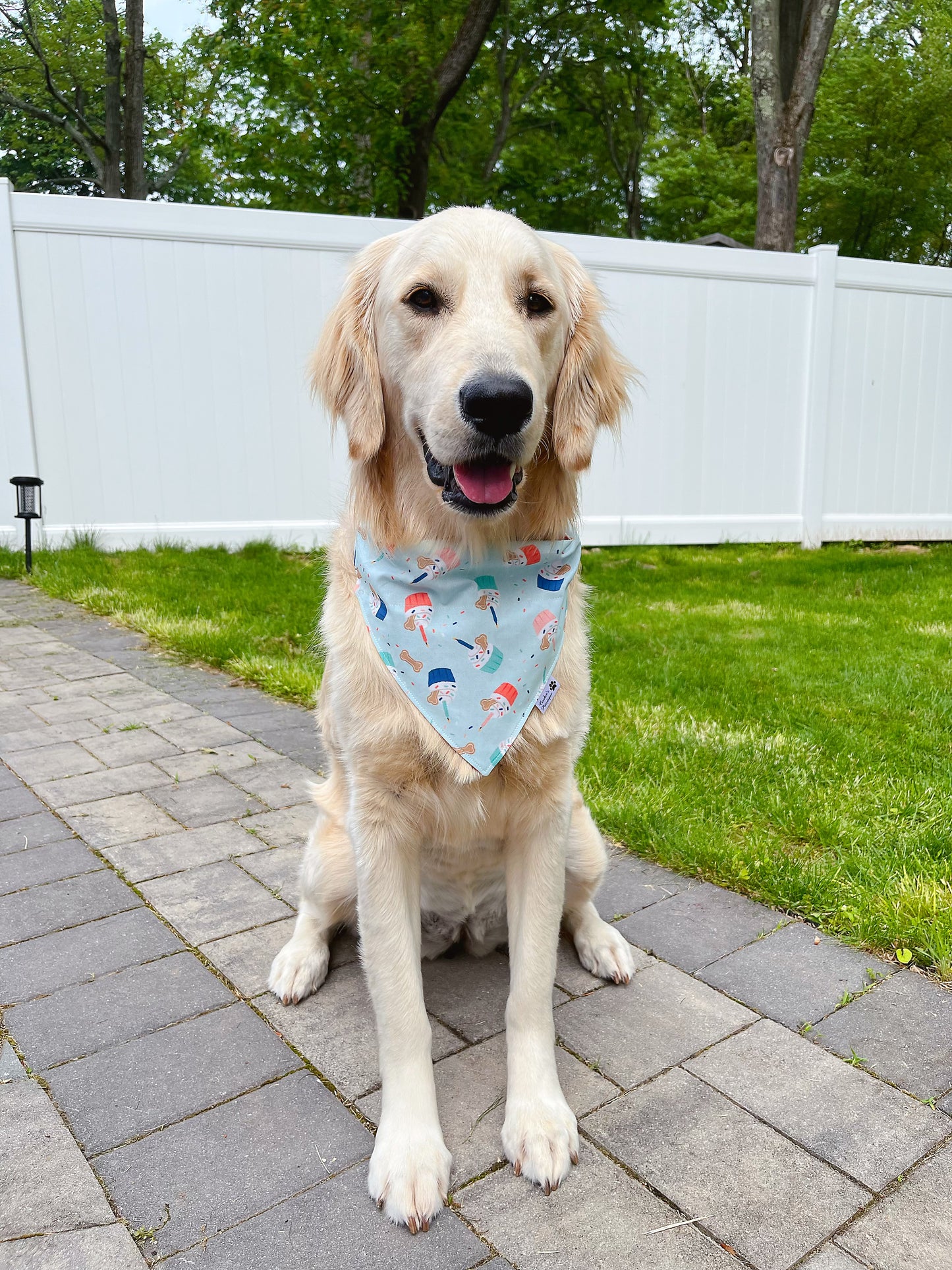 Birthday Cupcake Bandana - Teal