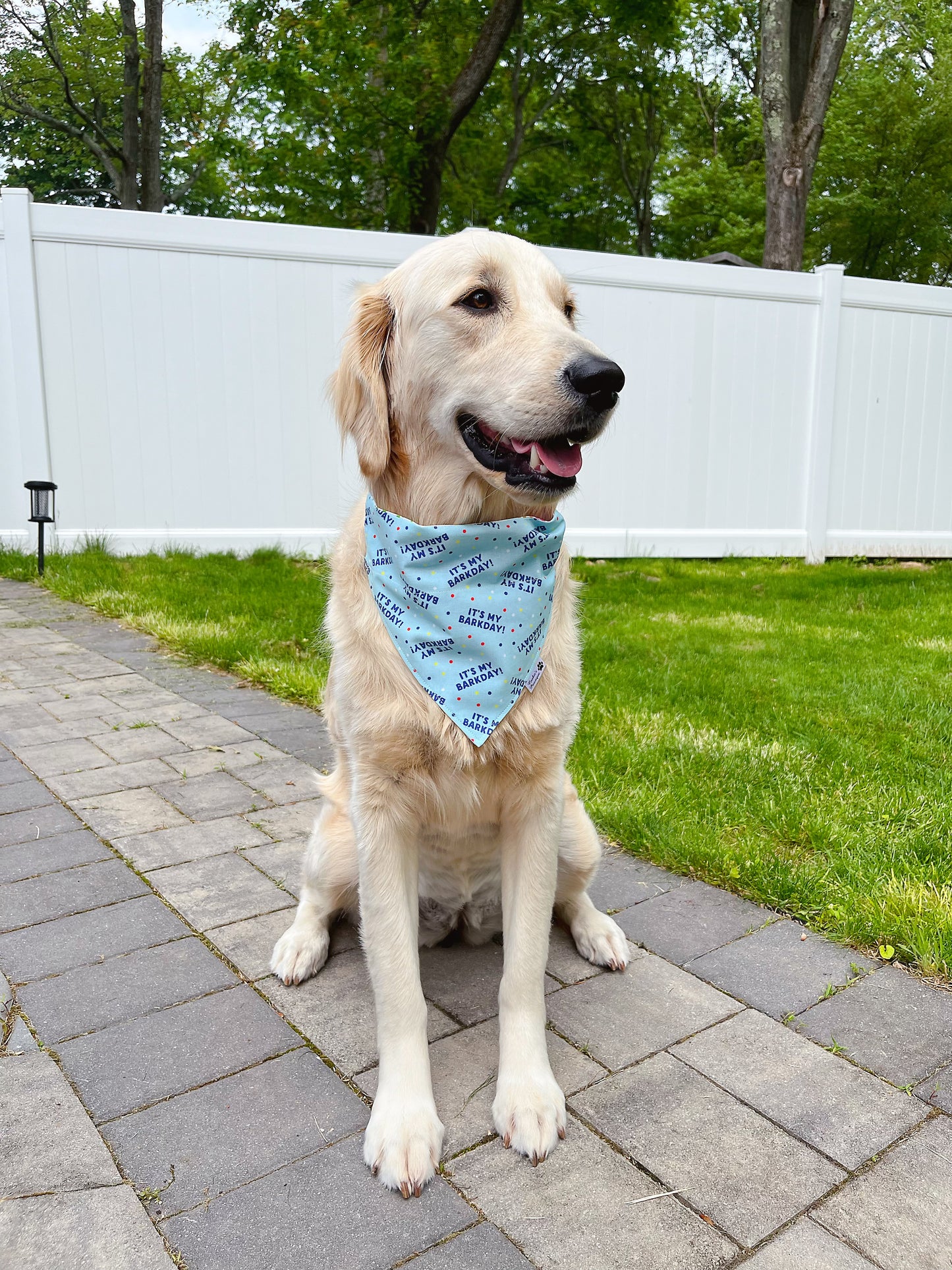 It's My Barkday Bandana - Blue