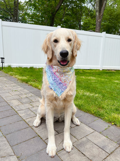 It's My Barkday Bandana - Blue