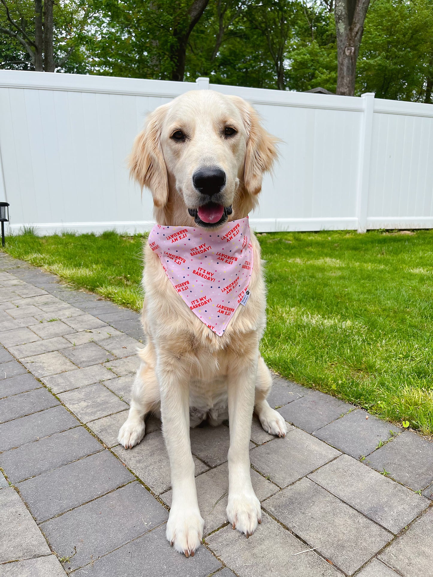 It's My Barkday Bandana - Pink