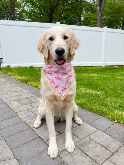 It's My Barkday Bandana - Pink