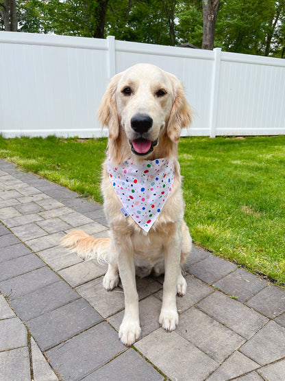 Birthday Girl Bandana