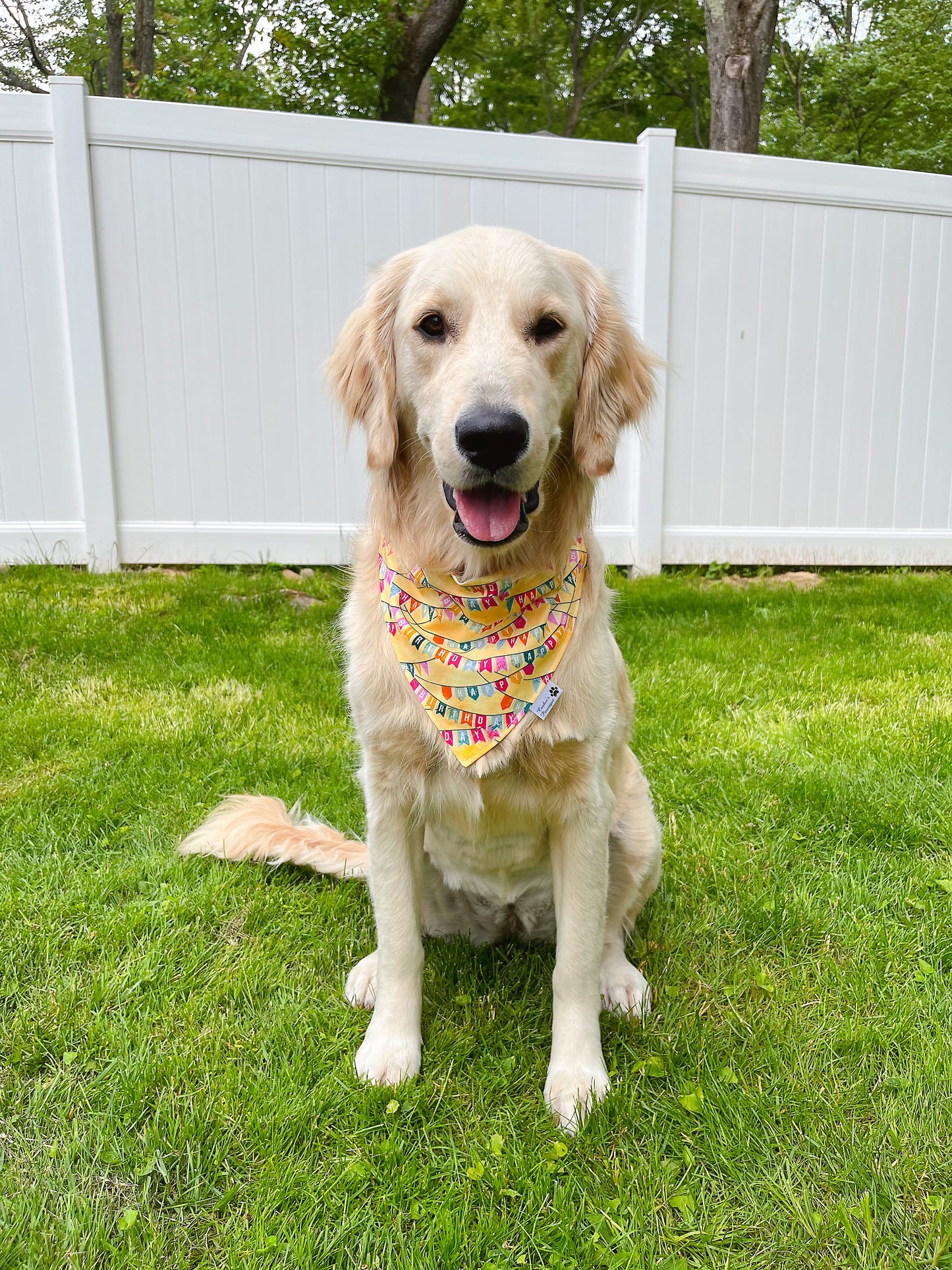 Happy Birthday Flags And Hats Bandana