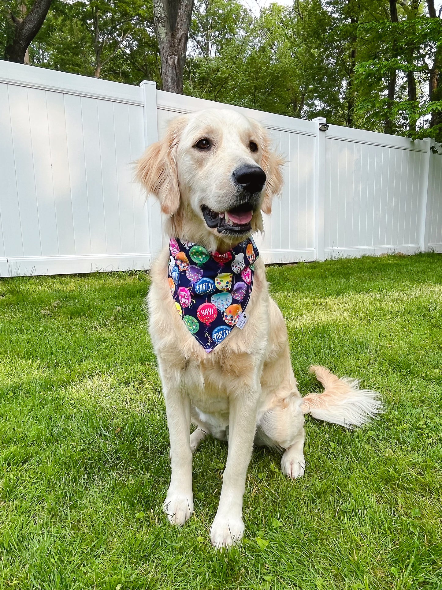 Birthday Balloons Bandana