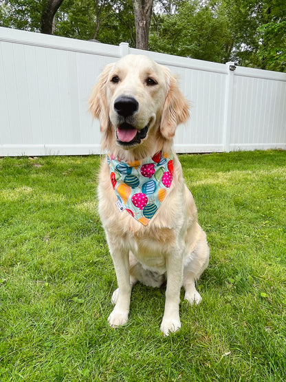 Birthday Balloons Bandana