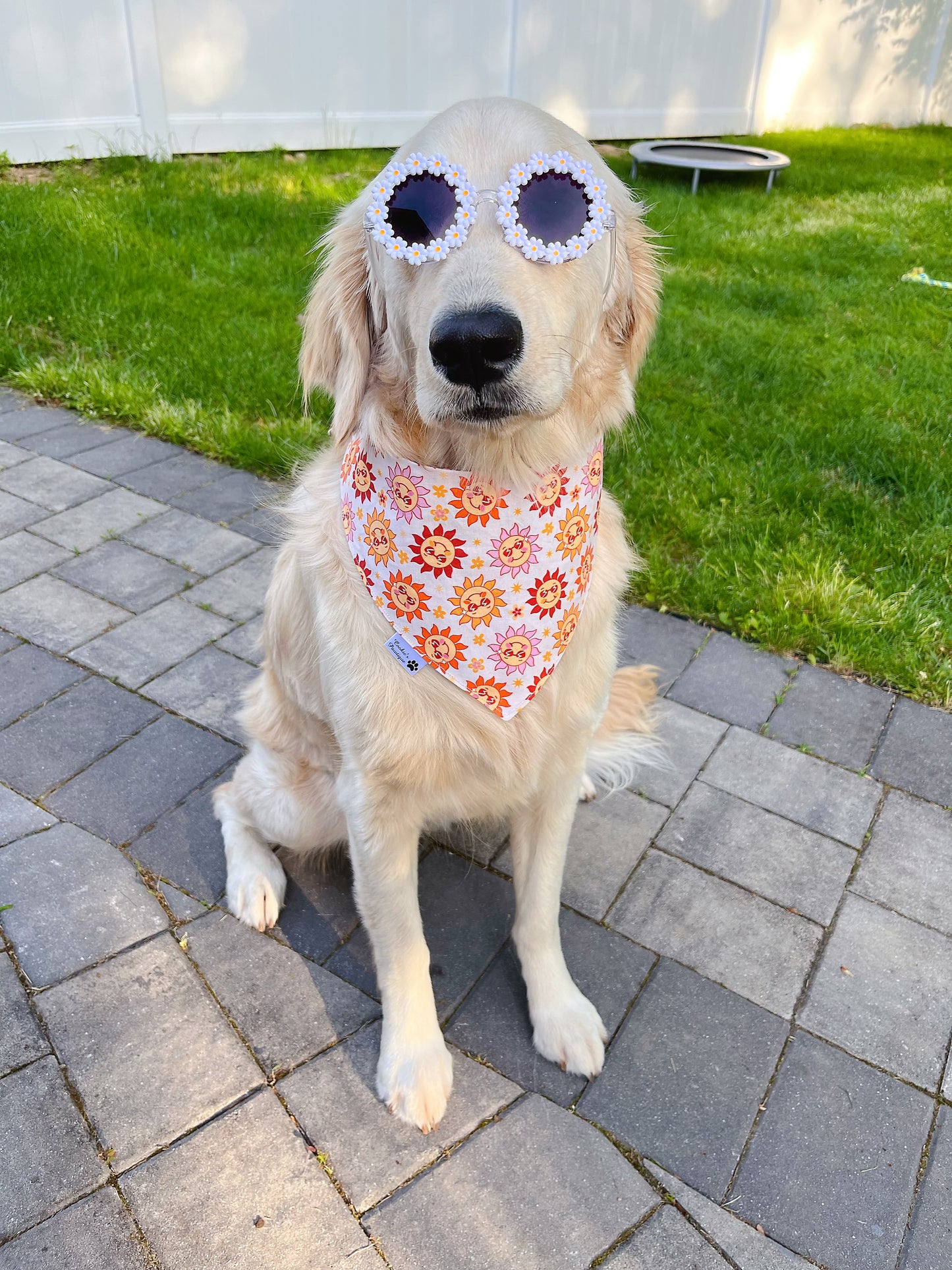 Summer Sunglasses And Retro Groovy Suns Bandana