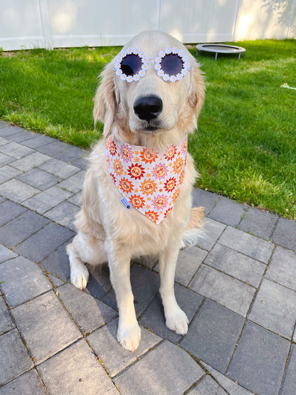 Summer Sunglasses And Retro Groovy Suns Bandana