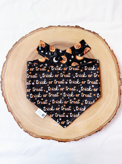 Halloween Pumpkins and Trick or Treat Bandana