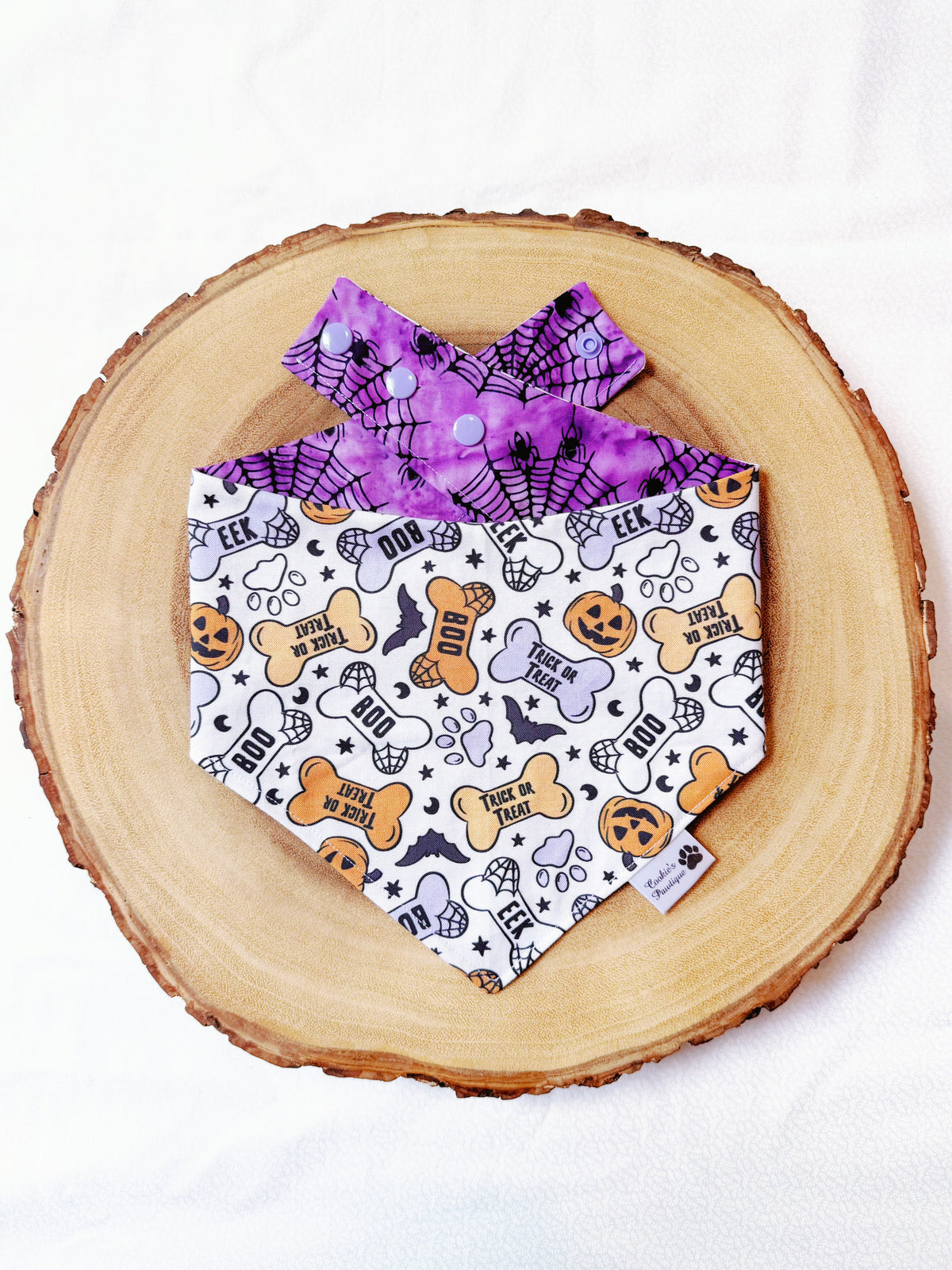 Halloween Dog Treats and Spiderweb Bandana