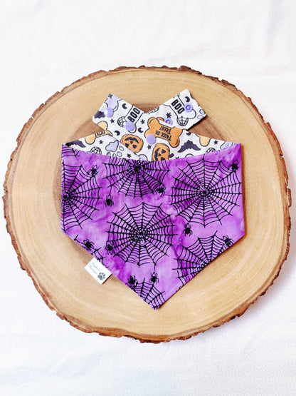 Halloween Dog Treats and Spiderweb Bandana
