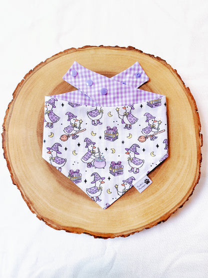 Witch Goose and Purple Gingham Bandana
