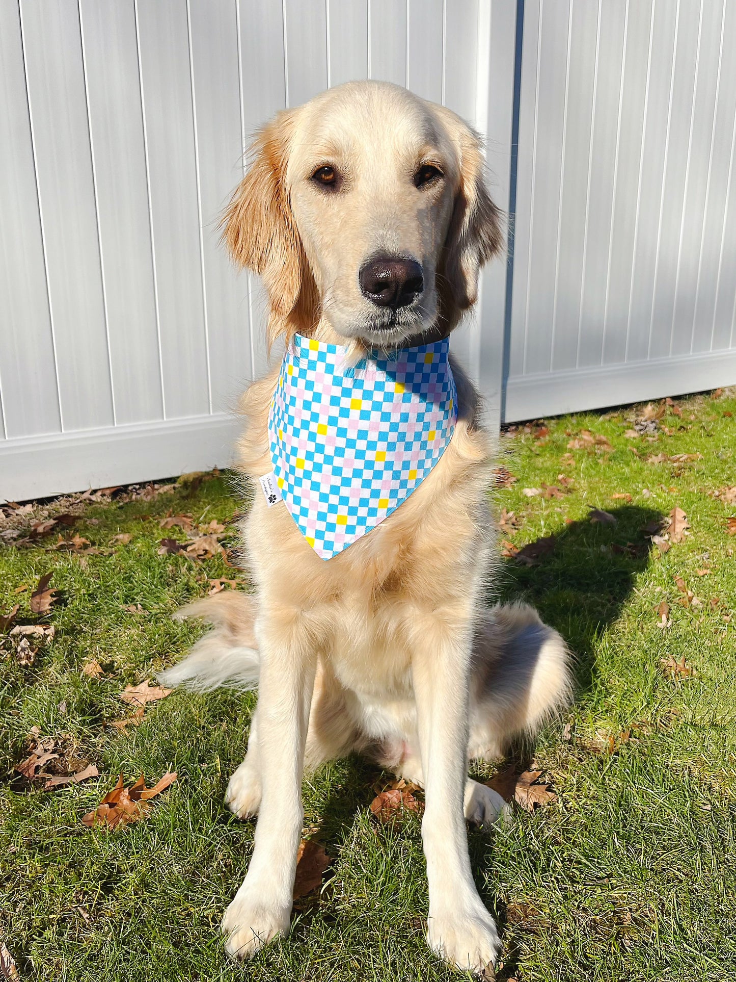 Winter Penguins Bandana