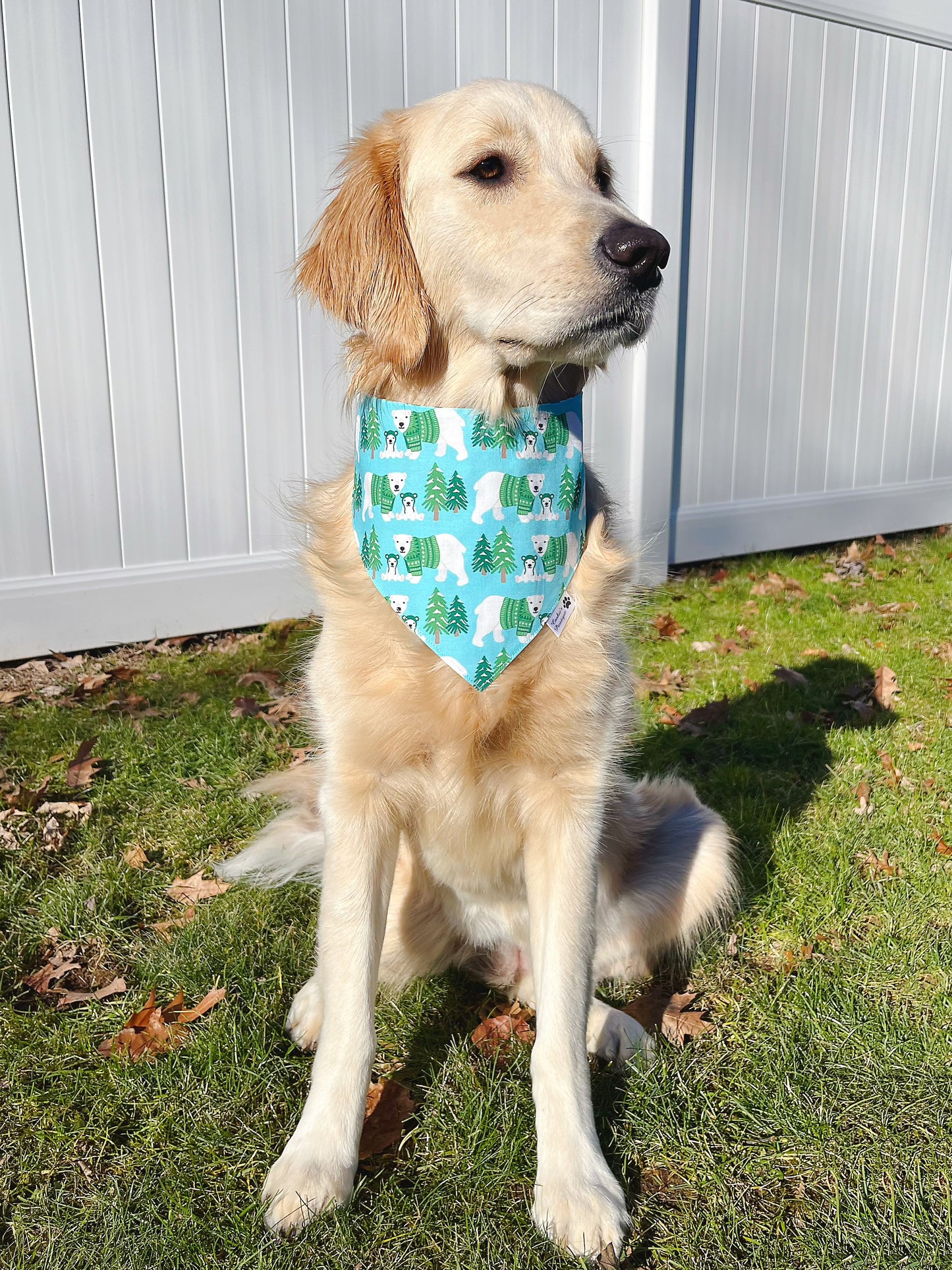 Polar Bear Bandana