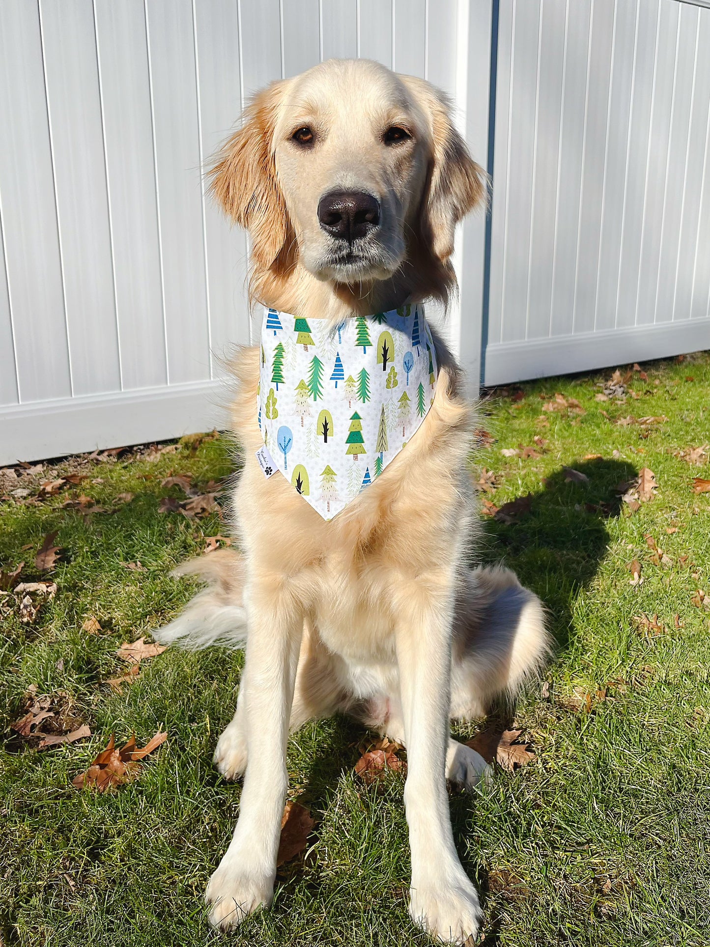 Polar Bear Bandana