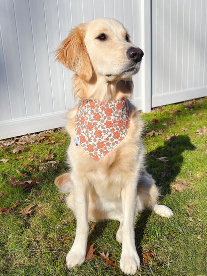 Winter Forest Bandana