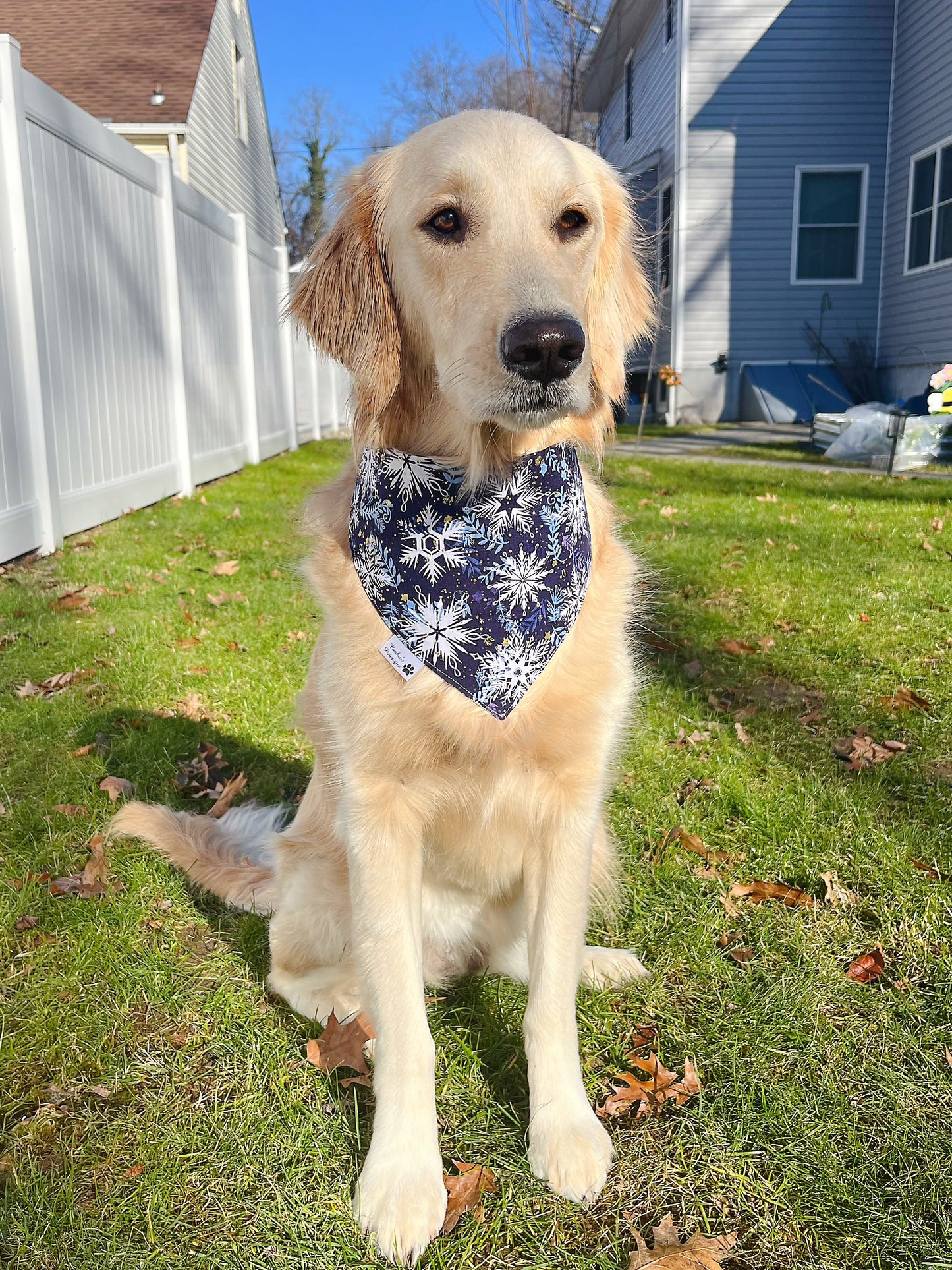 Wild and Free Bandana