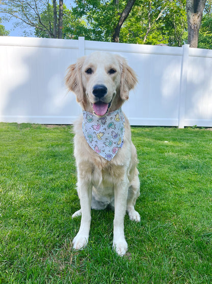 Rubber Ducks Bandana