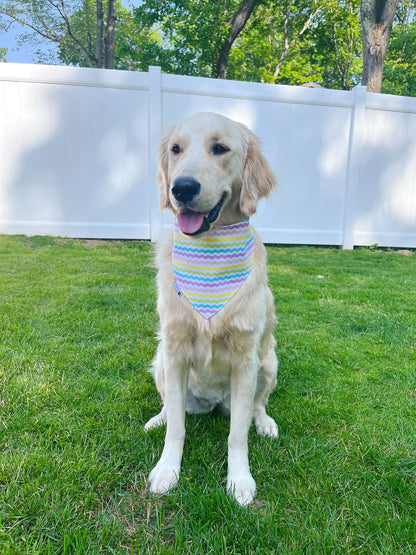 Rubber Ducks Bandana