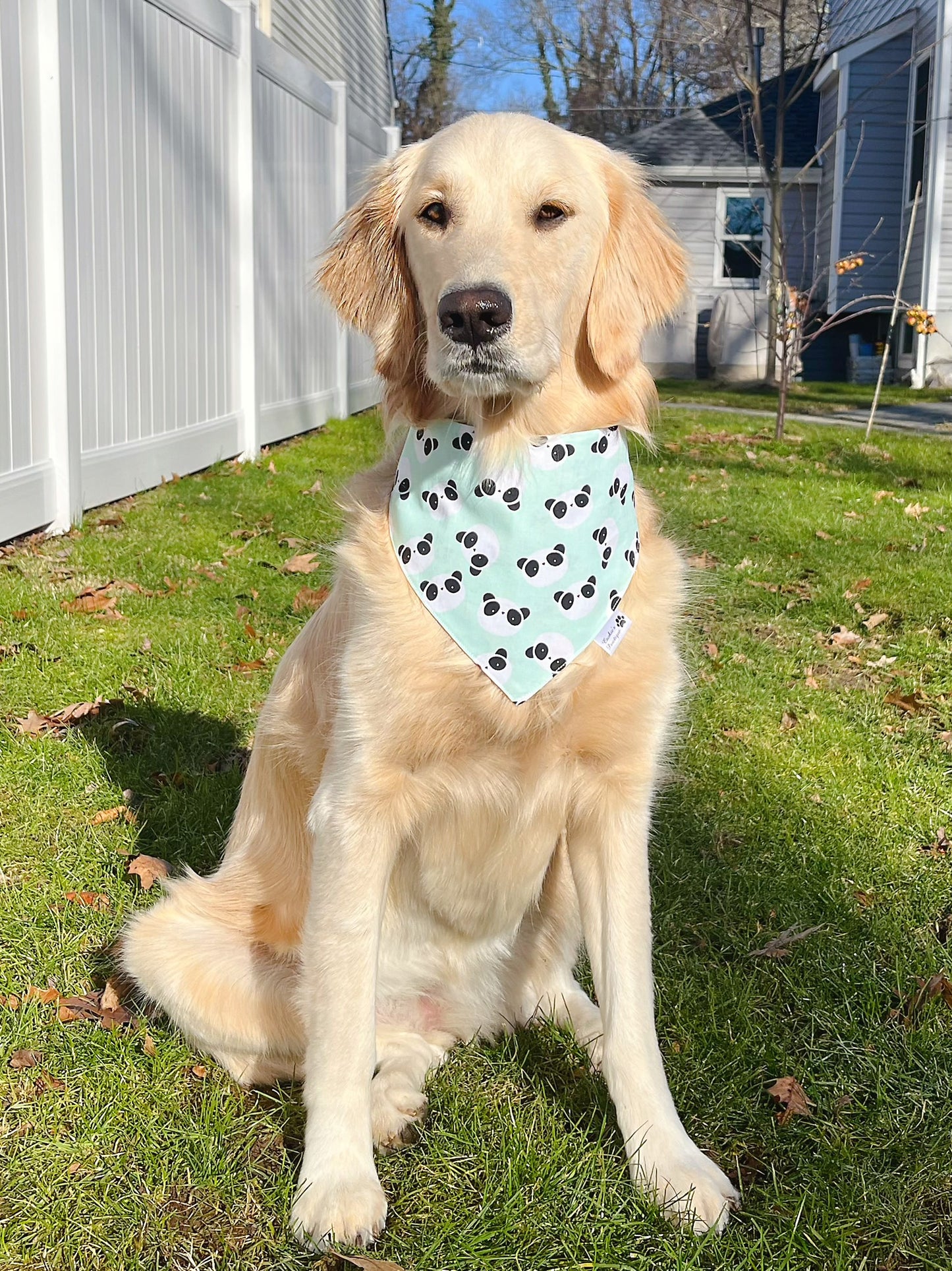 Cute Panda Bandana