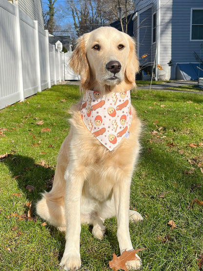 Happy Skater Bandana