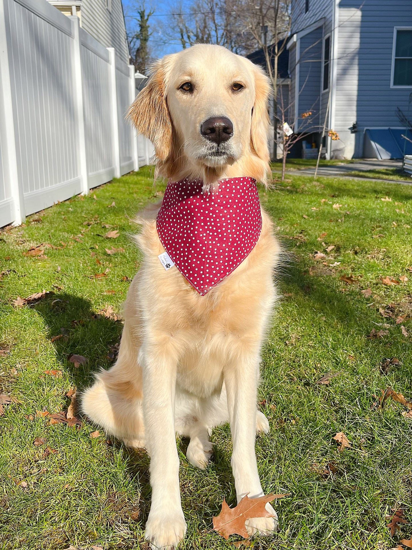 Happy Skater Bandana