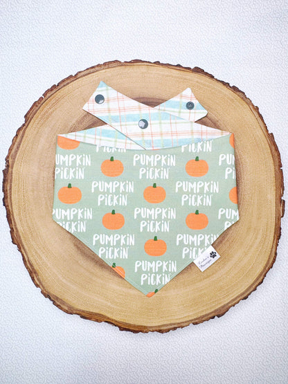 Pumpkin Picking Bandana