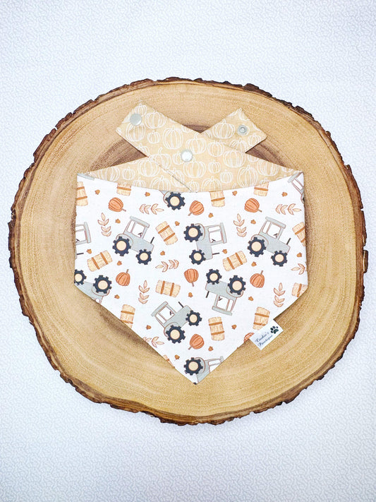 Fall Tractors and Pumpkins Bandana