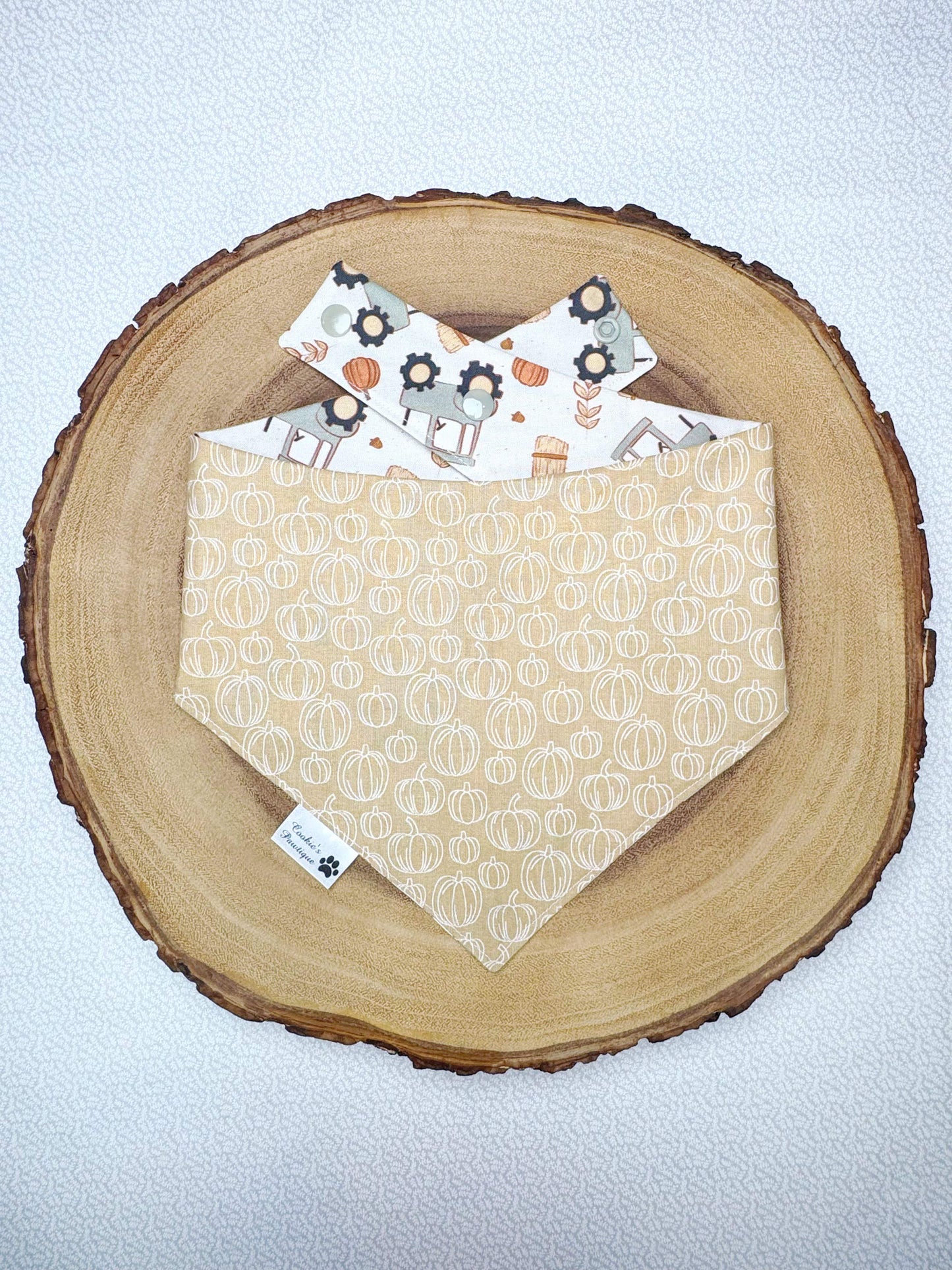 Fall Tractors and Pumpkins Bandana