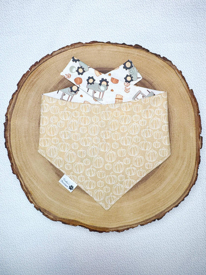 Fall Tractors and Pumpkins Bandana