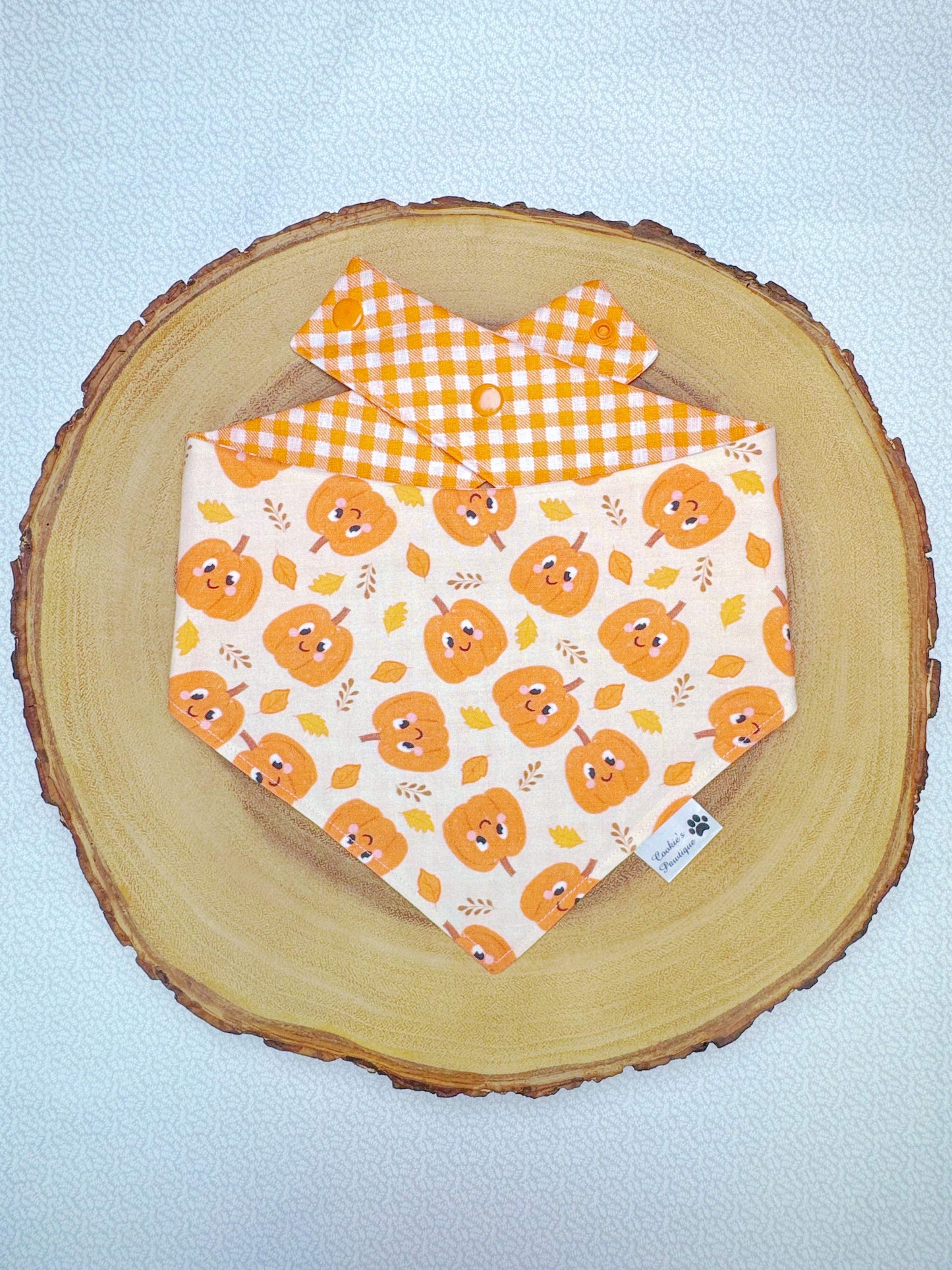 Smiley Pumpkins and Gingham Bandana