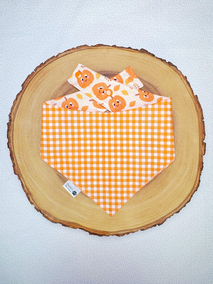 Smiley Pumpkins and Gingham Bandana