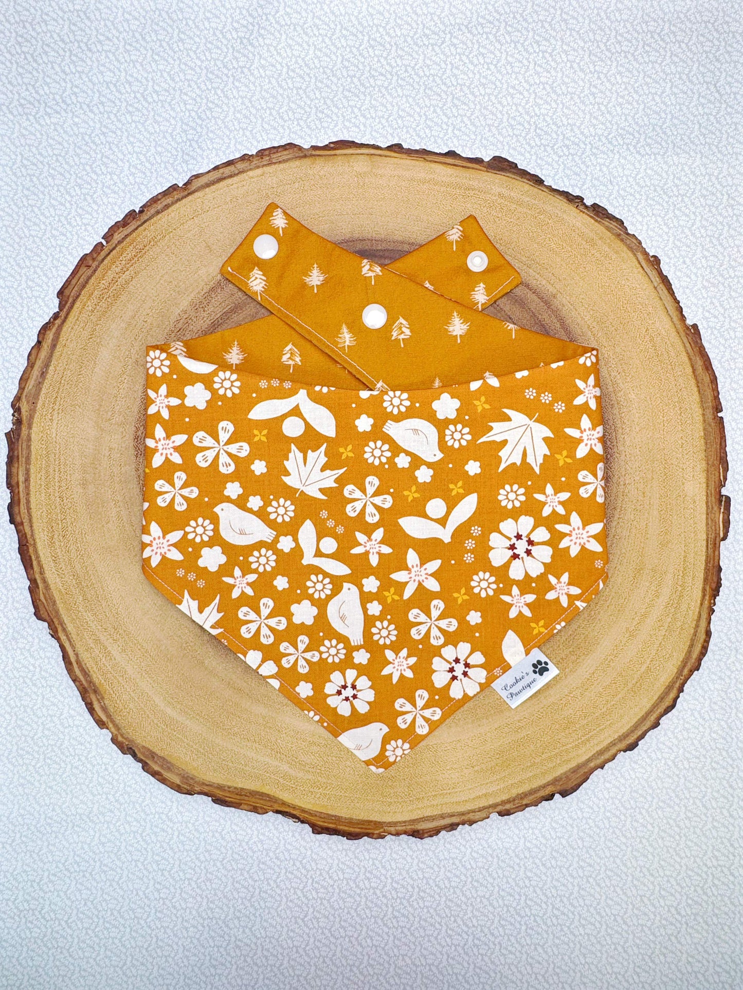 Beauty of Fall Bandana