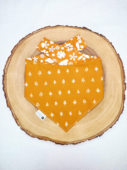Beauty of Fall Bandana