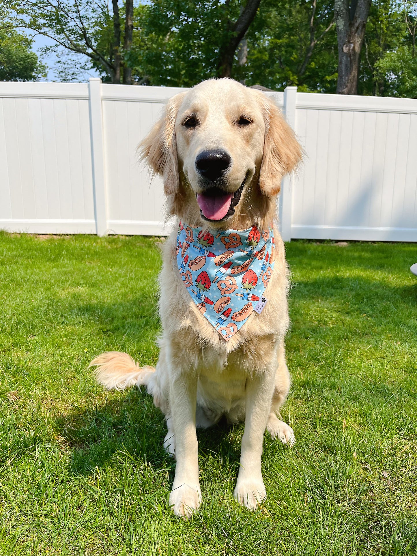 Patriotic Foodie And Macarons Bandana