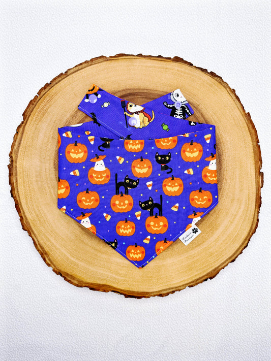 Halloween Cats Bandana