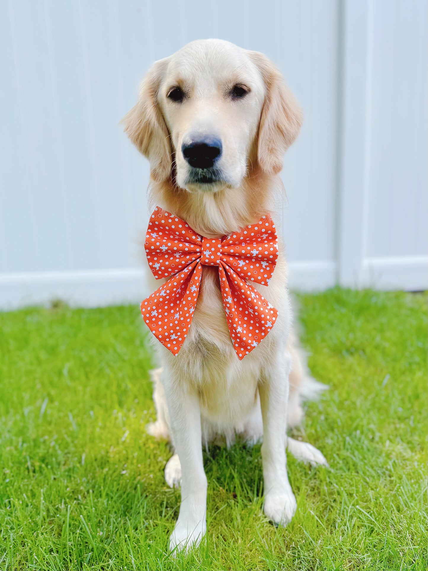 Ghosts And Dots On Orange Bow