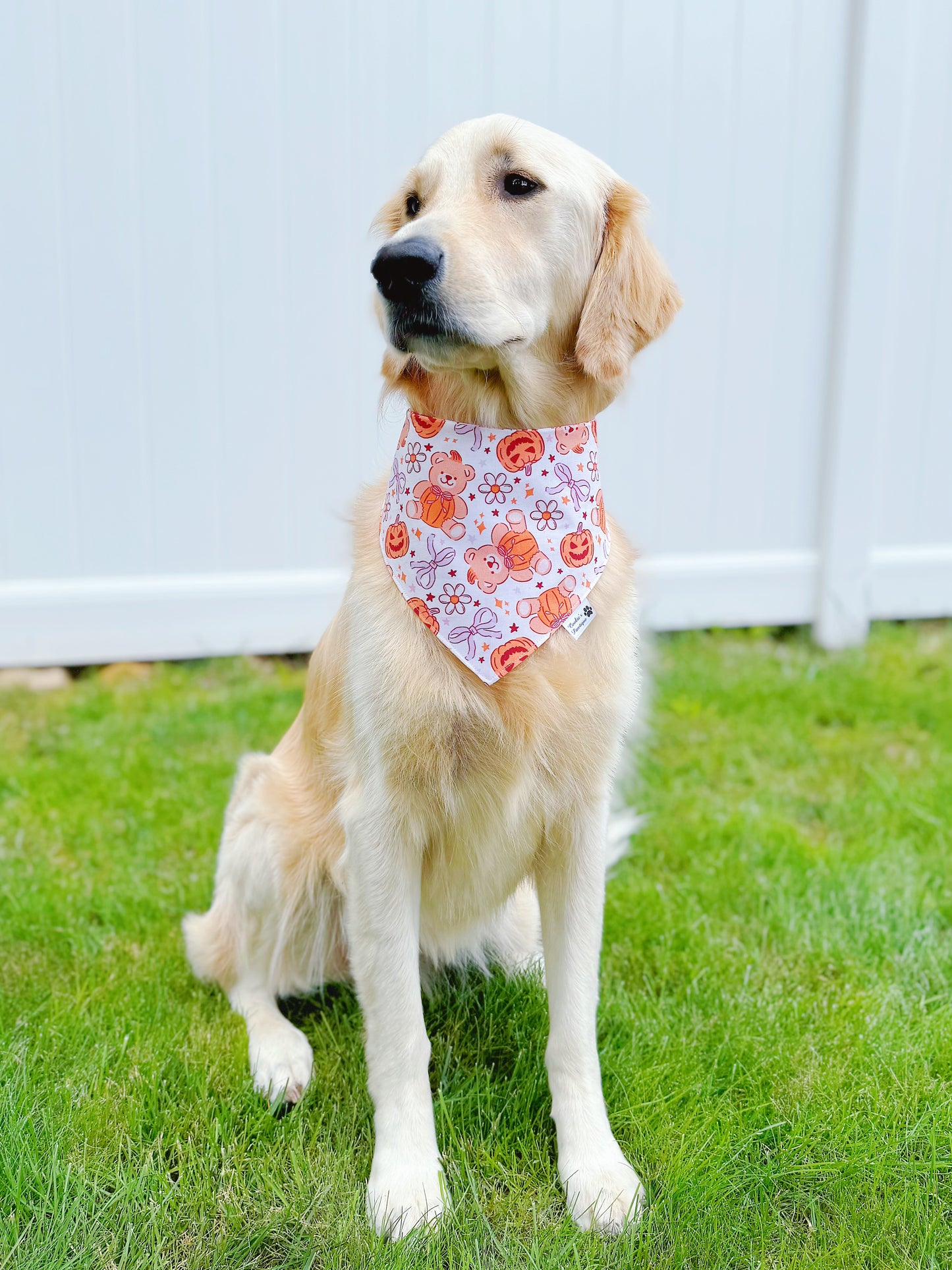 Teddy Bear Pumpkin And Bows Bandana