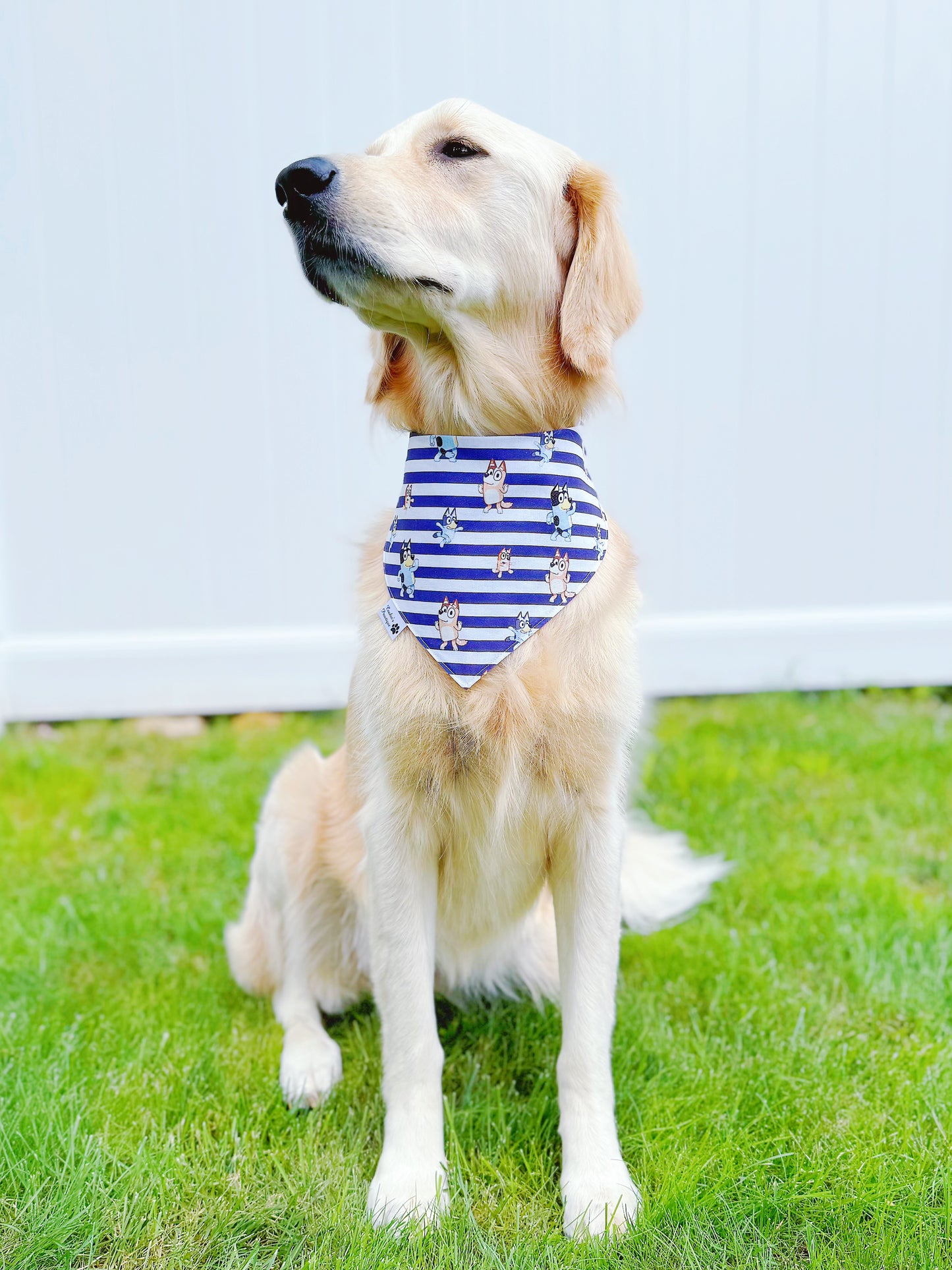 Bluey Halloween Bandana