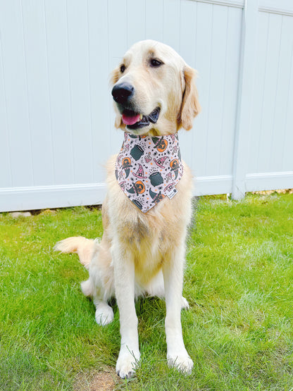 Halloween Pumpkin Witch And Moon Stars Bandana