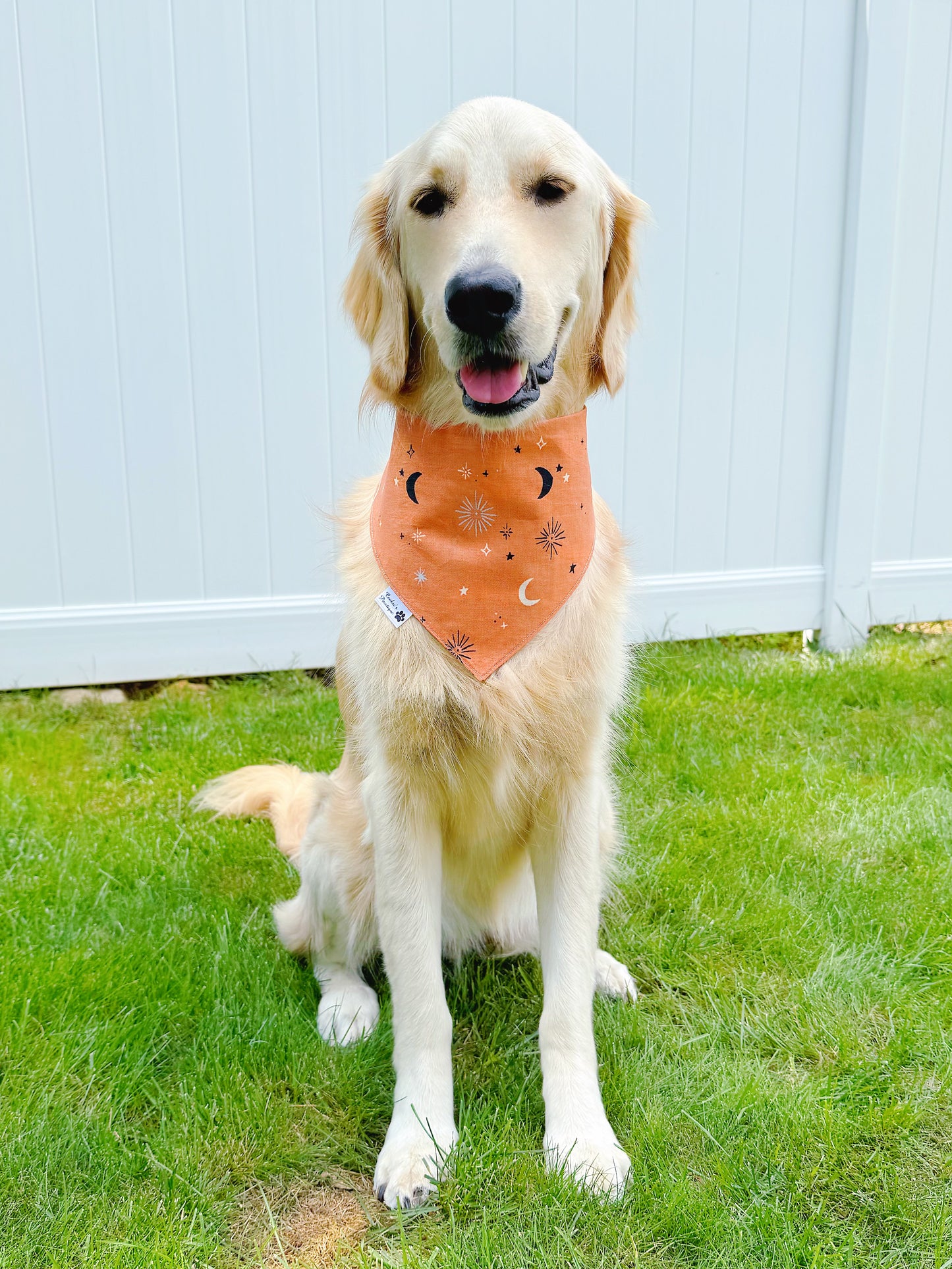 Halloween Pumpkin Witch And Moon Stars Bandana