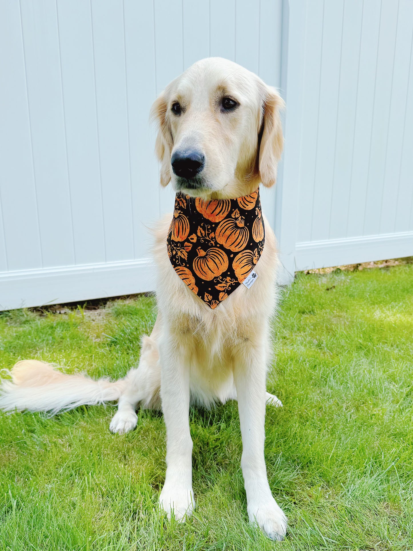 Batik Halloween Pumpkins And Spiderwebs Bandana