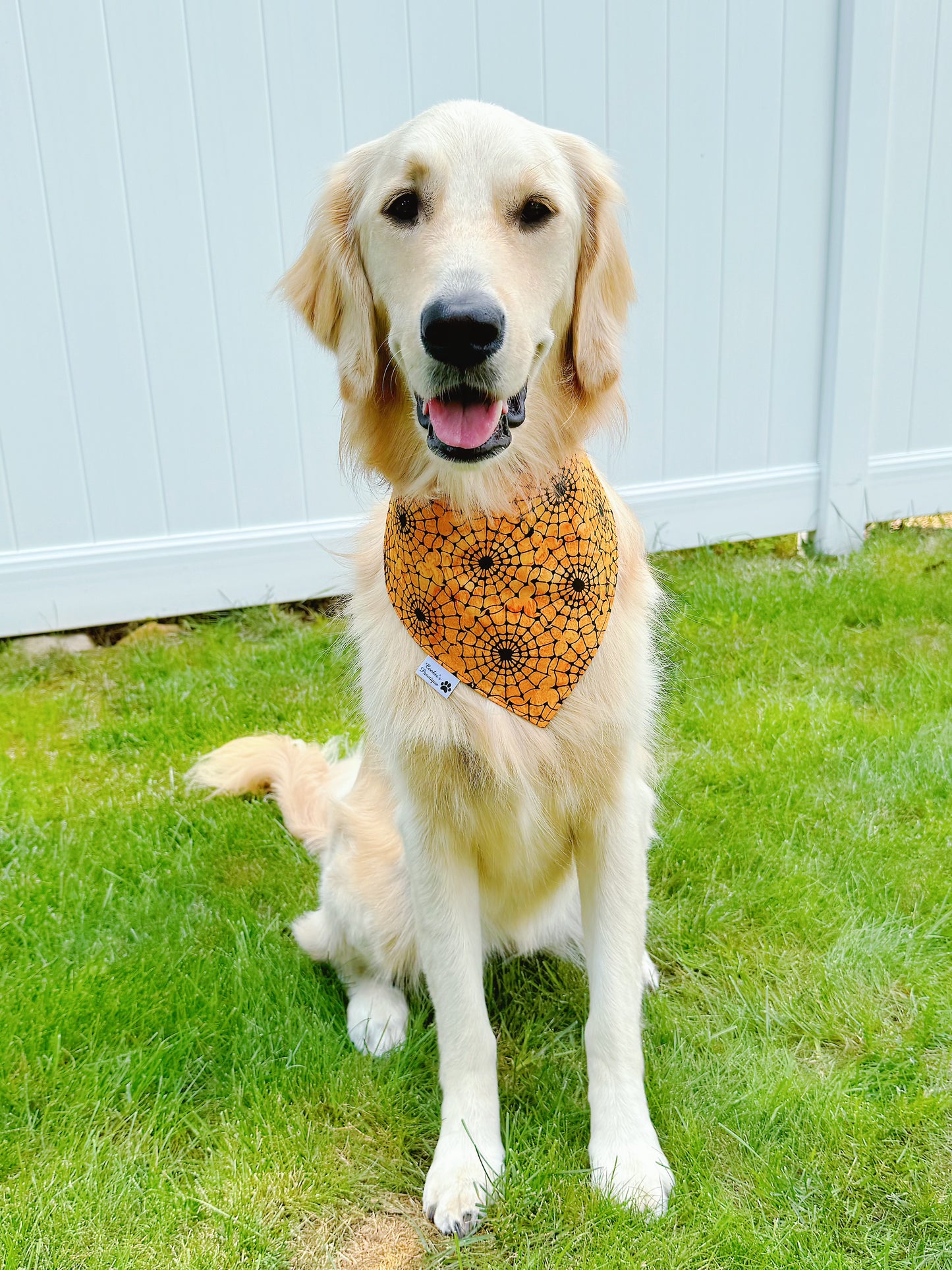 Batik Halloween Pumpkins And Spiderwebs Bandana